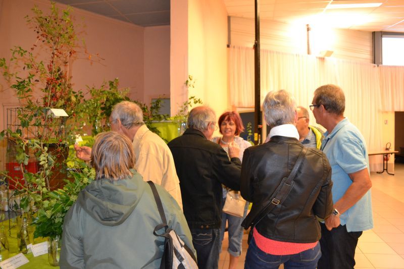 Débat sur la botanique