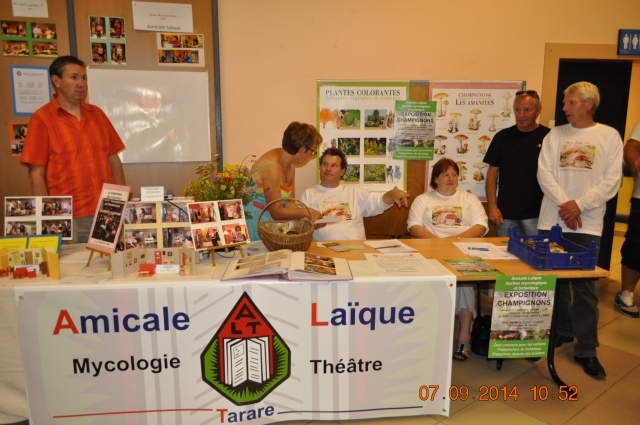 Le stand coté mycologie